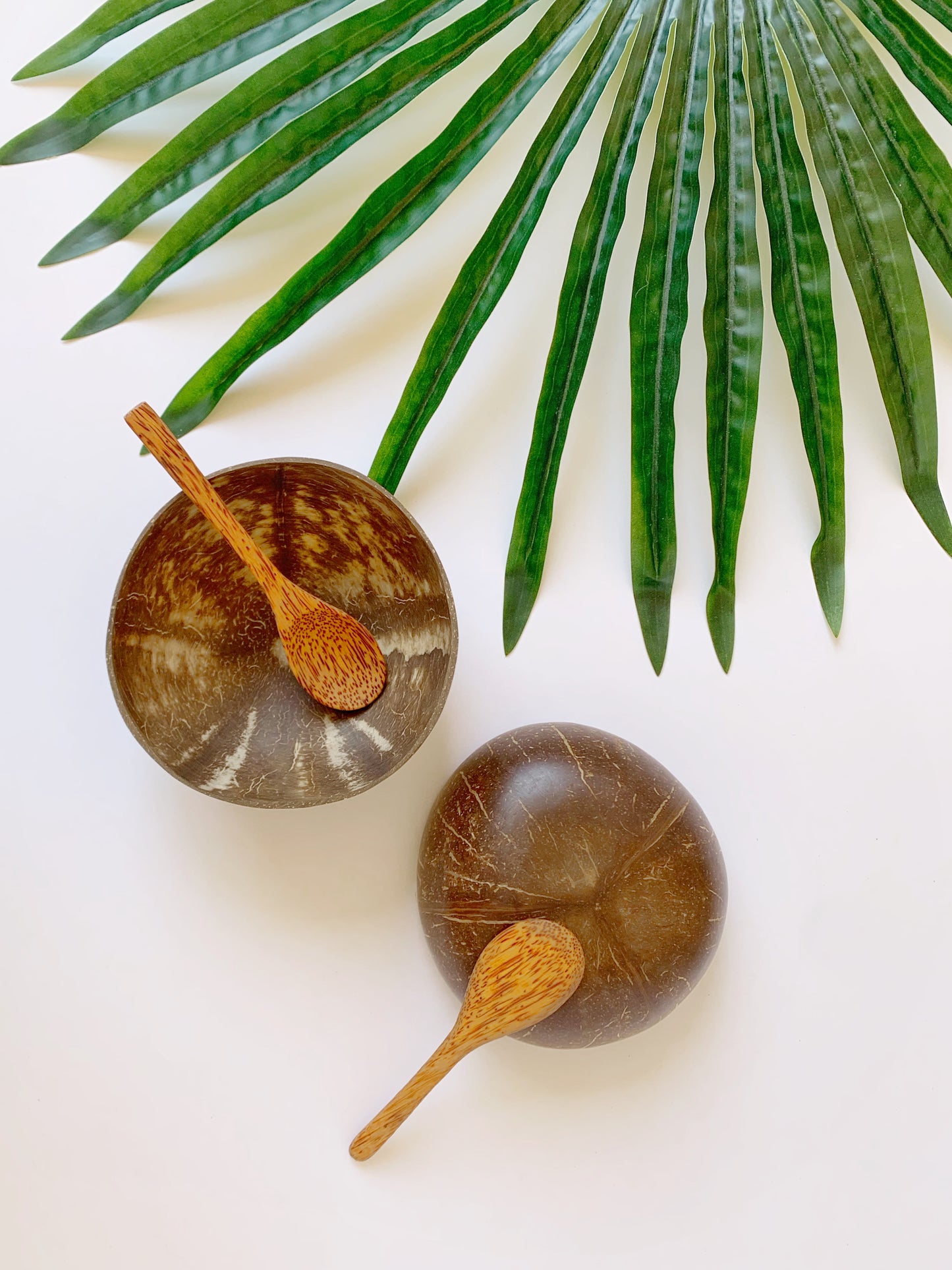 Bowl de coco natural